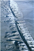 R8440