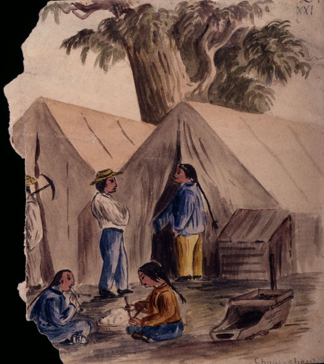 TLF ID R11264 - 'Chow Chow (Chinamen on Ballarat)', 1854 - 650 x 730
