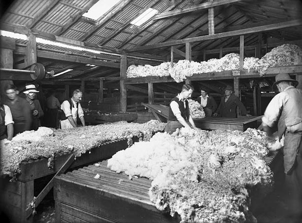 Wool sorting at Gilgandra, 1936