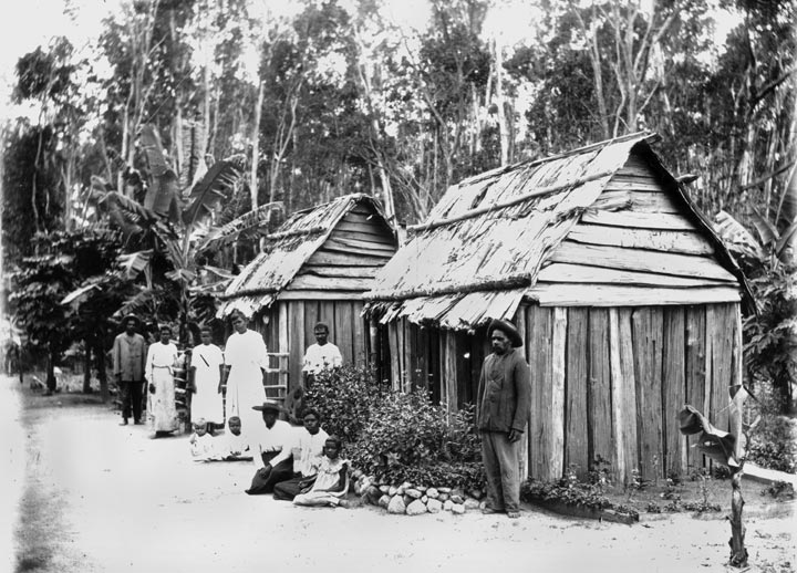 Pacific Islander labourers outside slab-hut dwellings, late 1800s