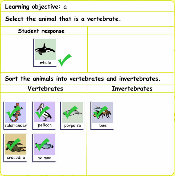 animal classification assessment teacher guide venn diagram vertebrates invertebrates