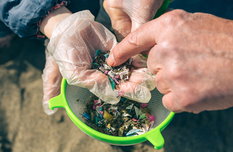 Caring for our coasts: beach survey