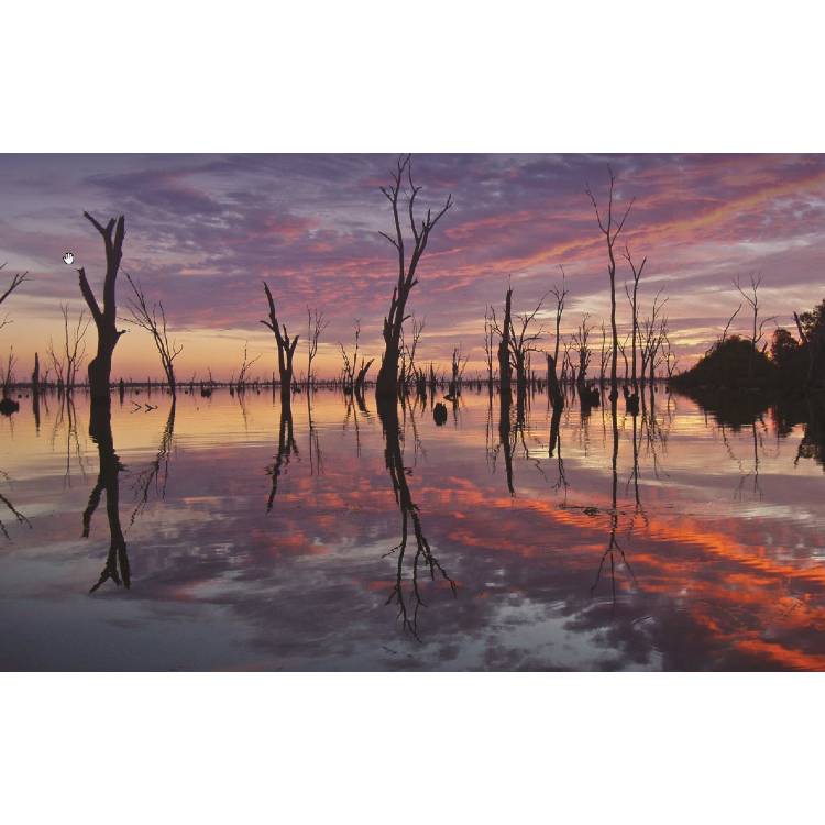 Food and fibre production: an Aboriginal perspective