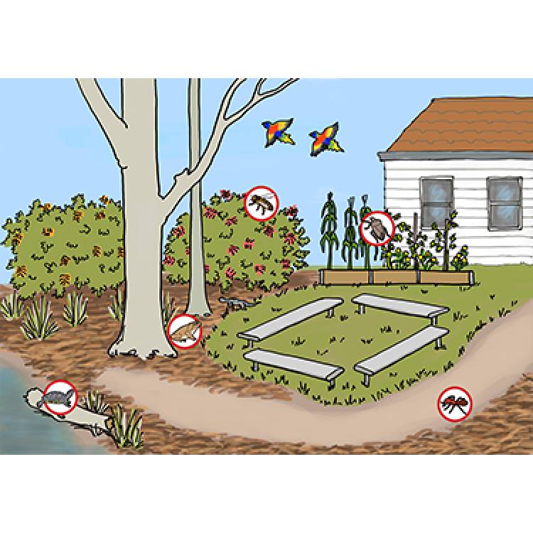 Biosecurity surveillance at school