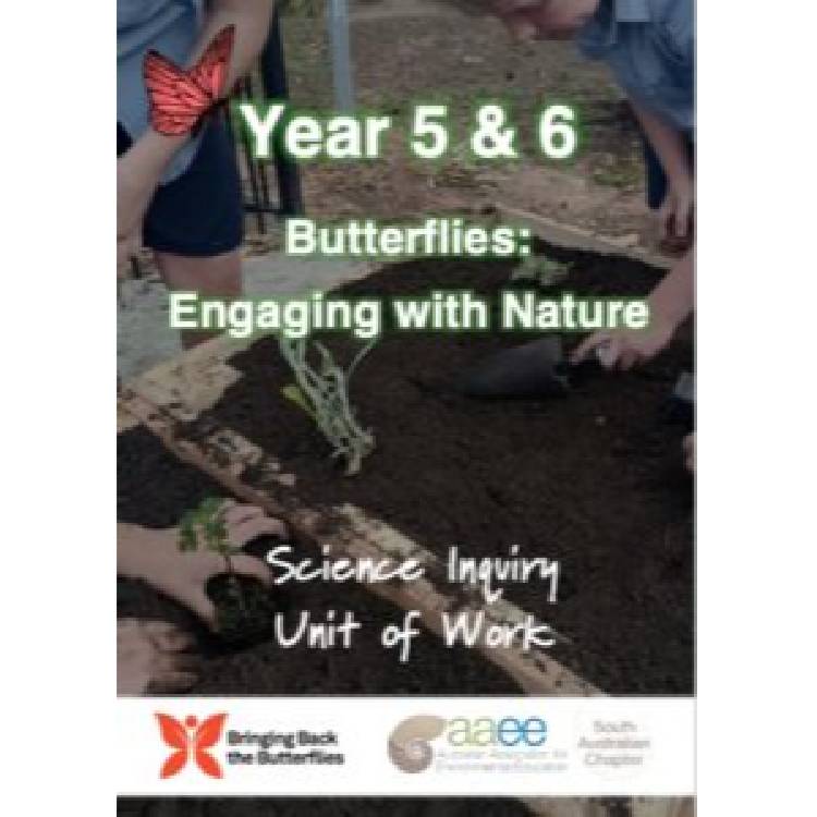 Unit for Year 5 to 6 Butterflies: Engaging with nature
