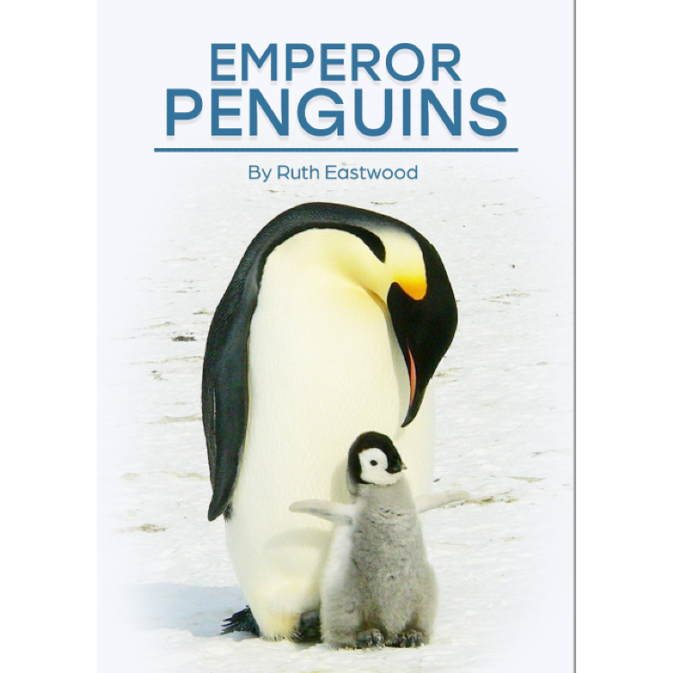 Emperor Penguins