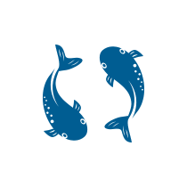 Pairs image