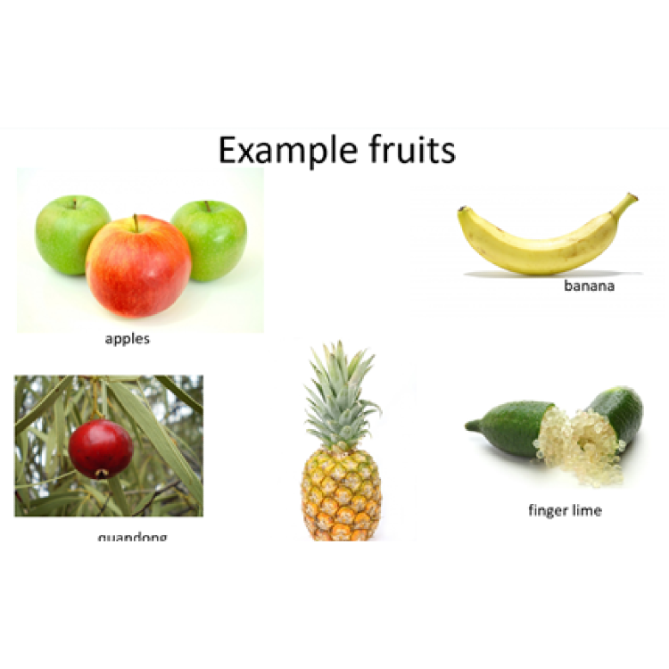 Fruit fractions: Fruit karate