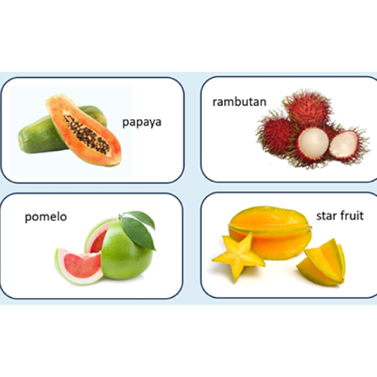 Fruit fractions: Gardeners of fractions