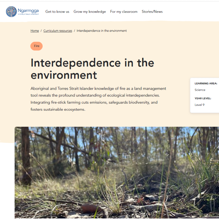 Interdependence in the environment