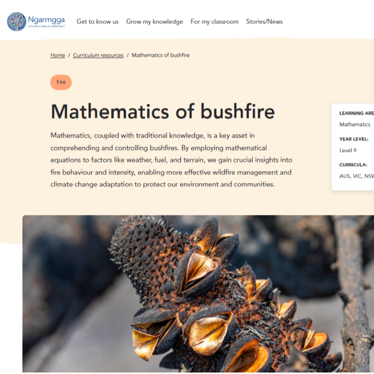 Mathematics of bushfire