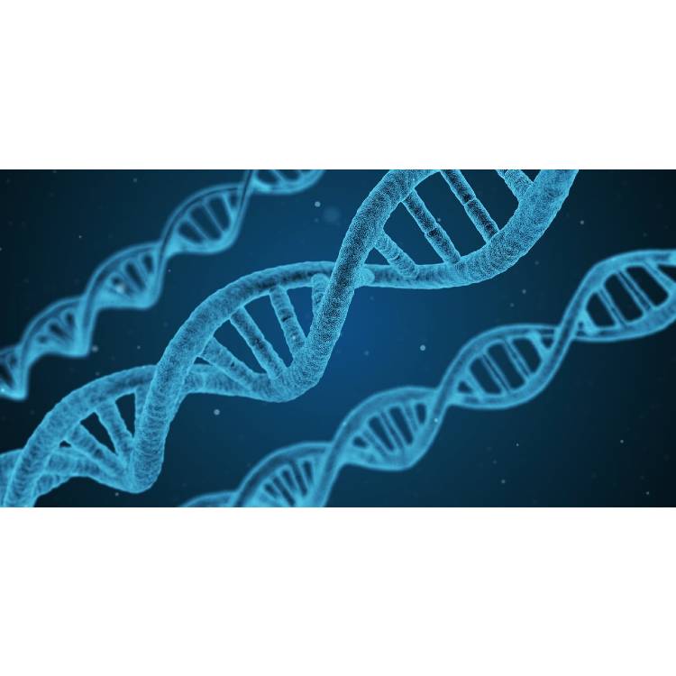 AERO Ochre Science Year 10 Unit 1 - Genetics