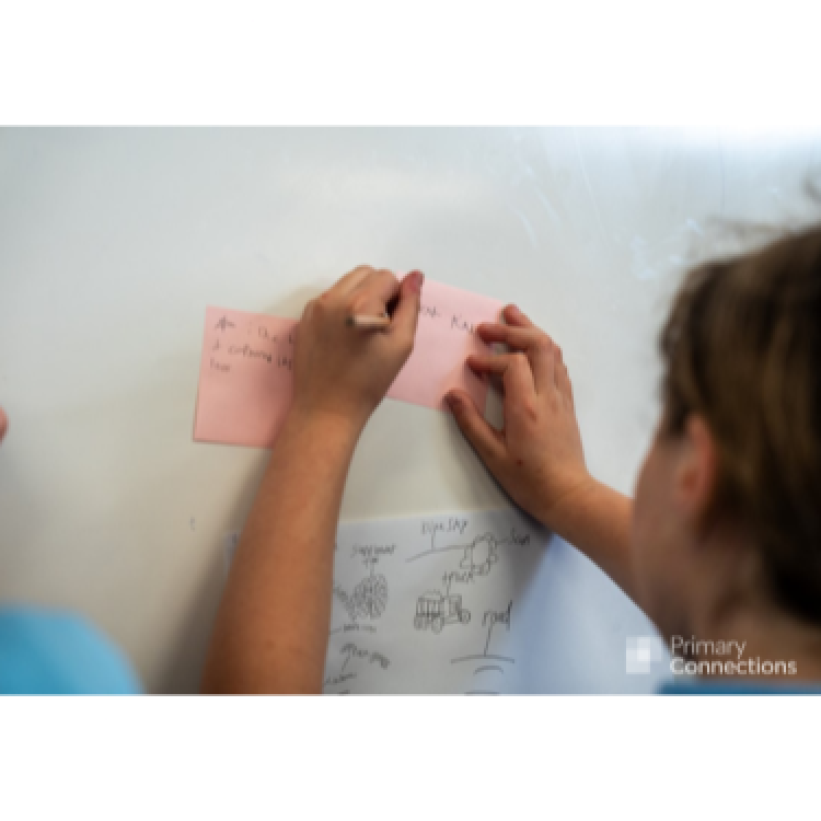 Primary Connections: Sustain the chain