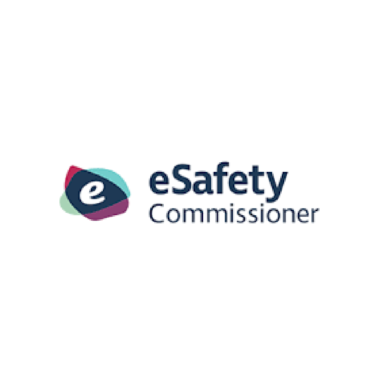 Online safety classroom posters