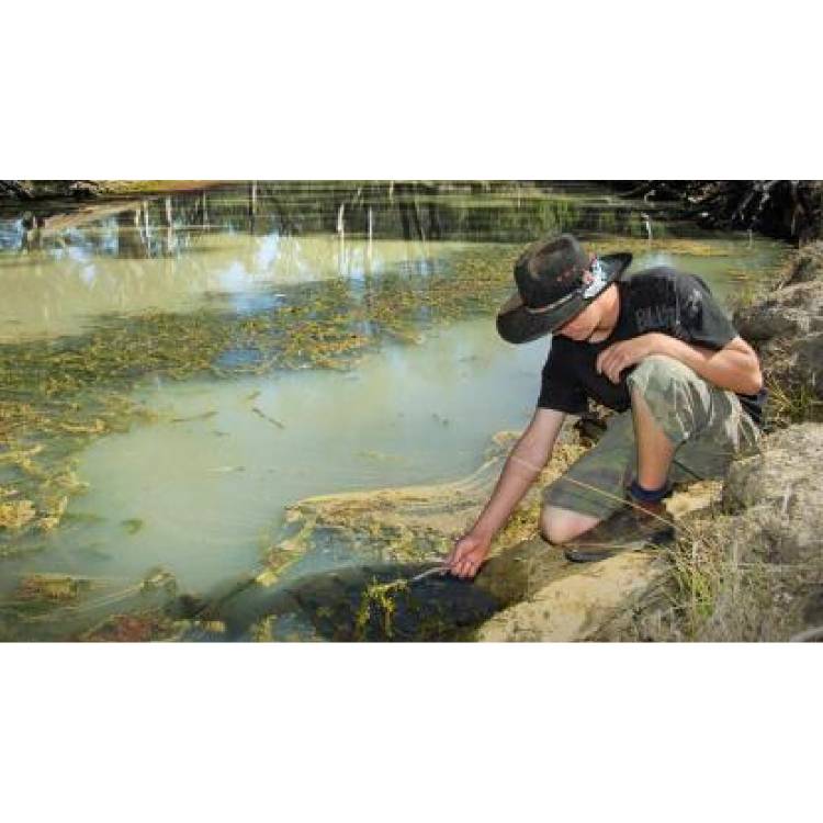 Water quality