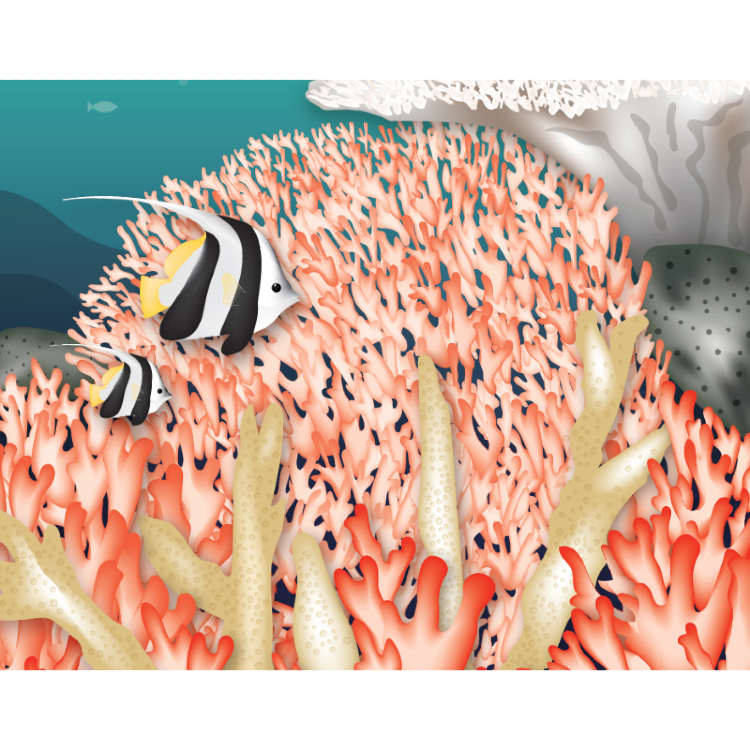 Introduction to Ocean Acidification