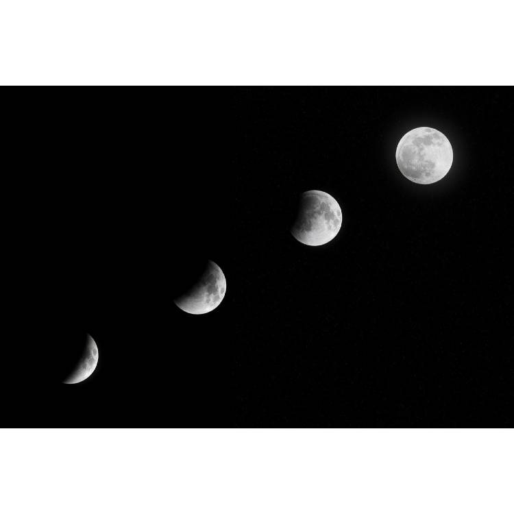 Phases of the moon