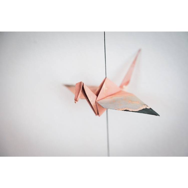 Paper aeroplanes