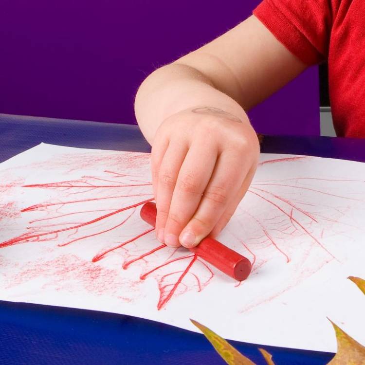 Autumn leaf rubbing | Questacon