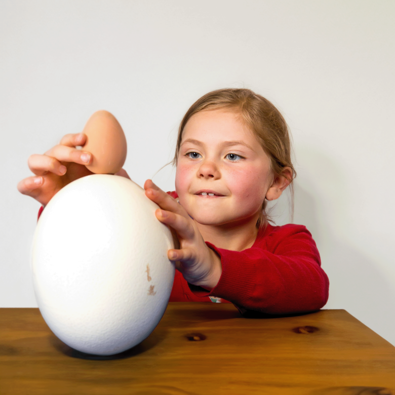 Balancing | Questacon