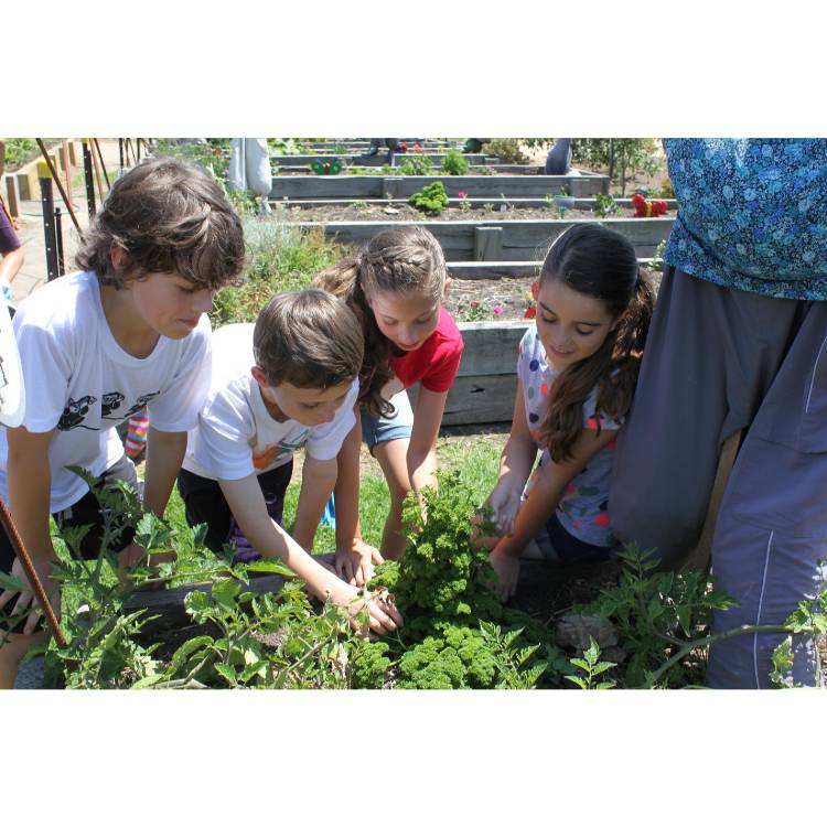 Growing food