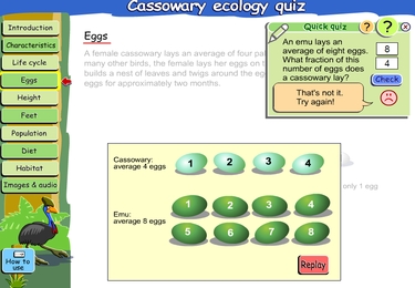 Cassowary ecology quiz