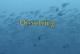 VisChem topic 2: dissolution of an ionic salt