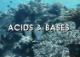 VisChem topic 12: acid-base reactions