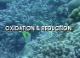 VisChem topic 13: redox reactions