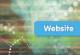 Beneath the surface: social reports as primary sources