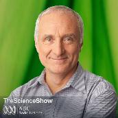 Diabetes type 2 cured by surgery ABC Radio national