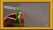 Experimentals: Examples of Bernoulli's theorem