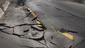Catalyst: Predicting earthquakes