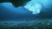 Catalyst: Seals help climate research