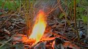 Catalyst: Aboriginal fire knowledge reduces greenhouse gases