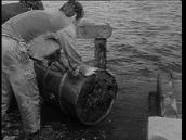 Four Corners: Funding conservation charities, 1973
