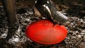 Heywire: Sporting Volunteers