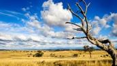 Heywire: At home in the country