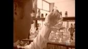 Atoms of Fire: What makes salt and sugar so different?