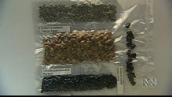 Catalyst: Sending seeds into space