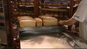 BTN: Daily bread