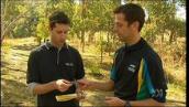 Stateline: Orienteering: using a map and compass