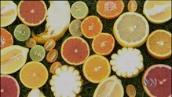 Kids in the Garden, Ep 6: Why plants make fruit