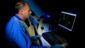 Landline: Handling deadly viruses safely to save lives