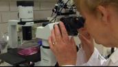 Catalyst: Snapshots of top Australian scientists