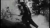 Australian bushfires, past and present