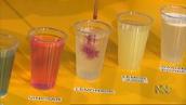 Elliot and the Surfing Scientist: Red cabbage pH experiment