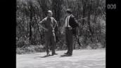 This Day Tonight: Sydney's Aboriginal rock carvings in danger, 1969