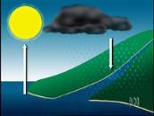 For the Juniors: Where does rain come from?