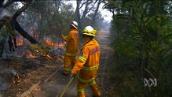 Four Corners: Fire management strategies